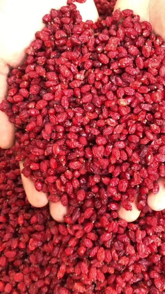 زرشک پفکی لوکس اعلا بدون روغن و سرت دستگاه پک کیلویی2