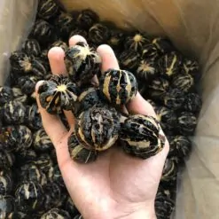 لیمو توپی ویا لیمو ببری لوکس مشکی و بدون تلخی پک یک کیلویی2