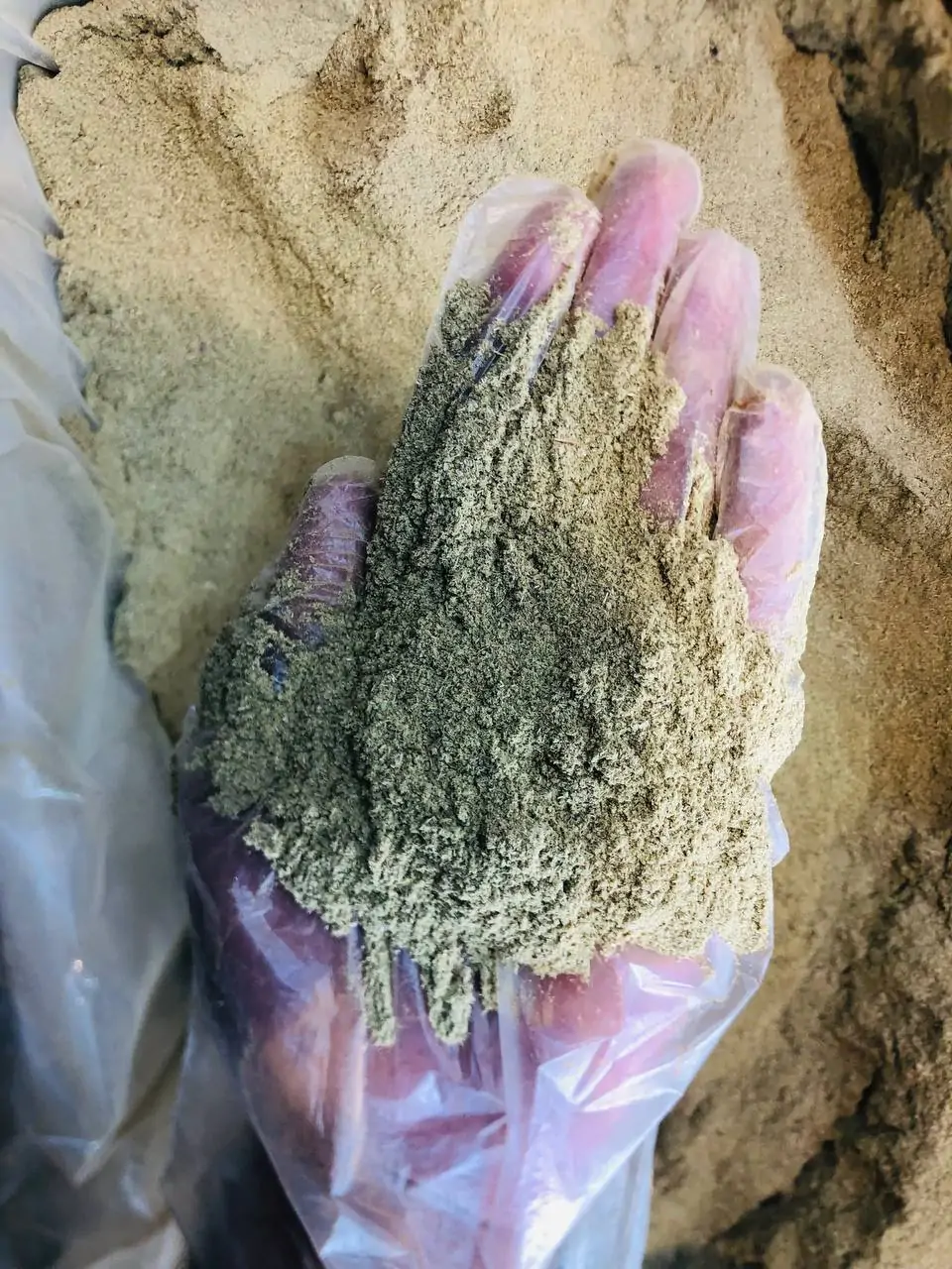 پودر آویشن اعلا بازرگانی براتی