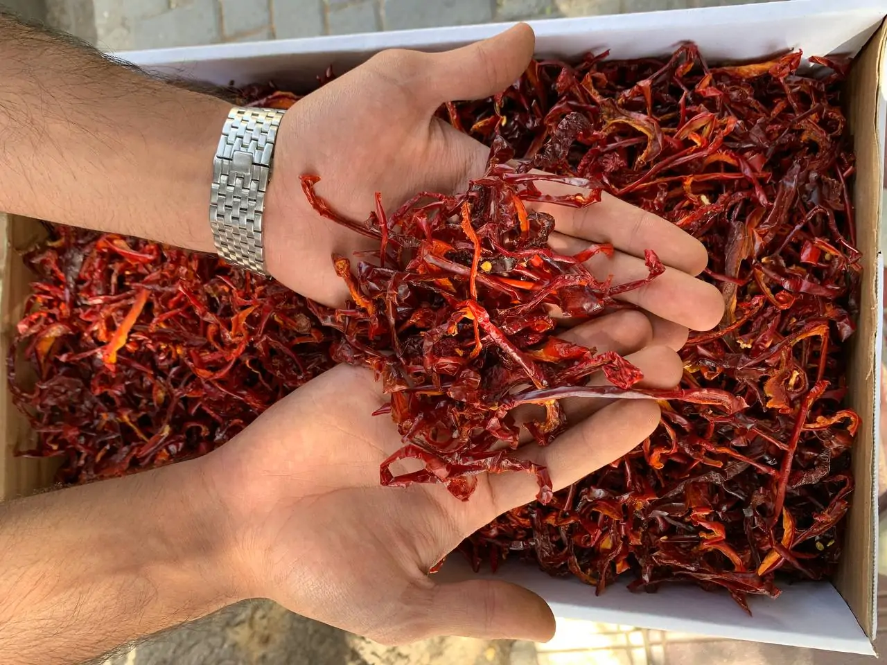 photo 2022 08 23 15 31 10 2