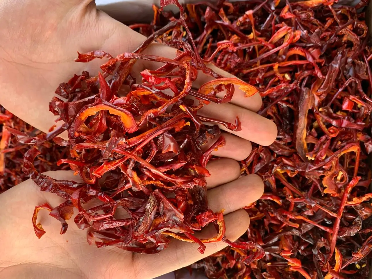 photo 2022 08 23 15 31 10