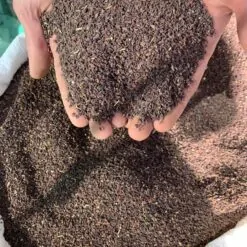 Alternative view of اسپند تمیز