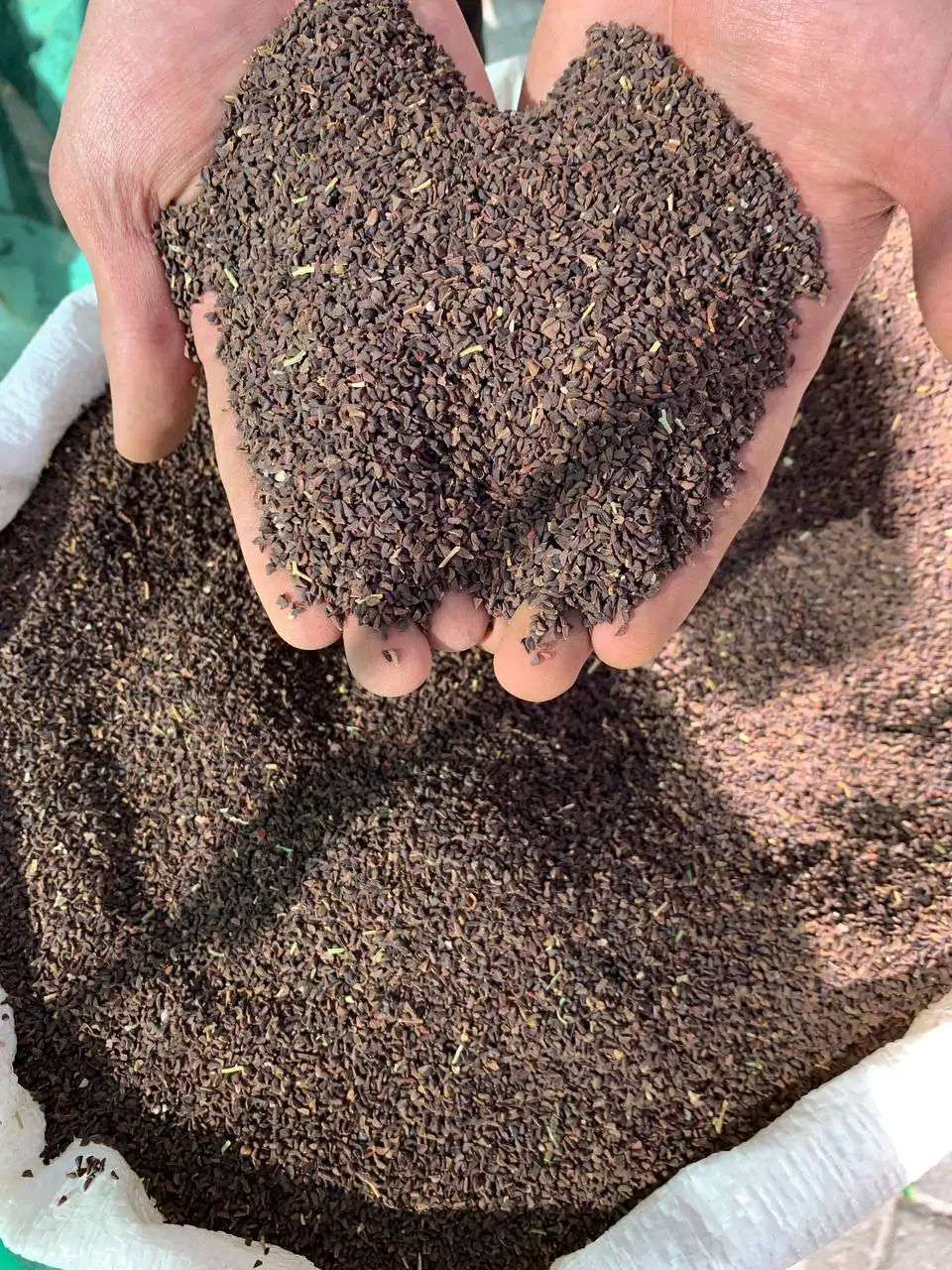 اسپند تمیز - تصویر 2