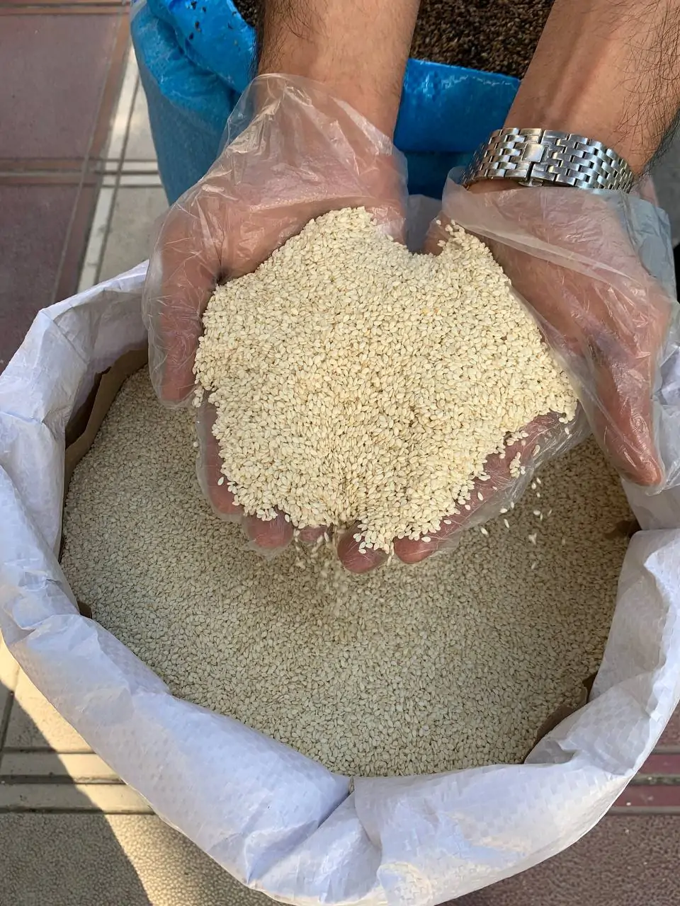 کنجد سفید هندی6