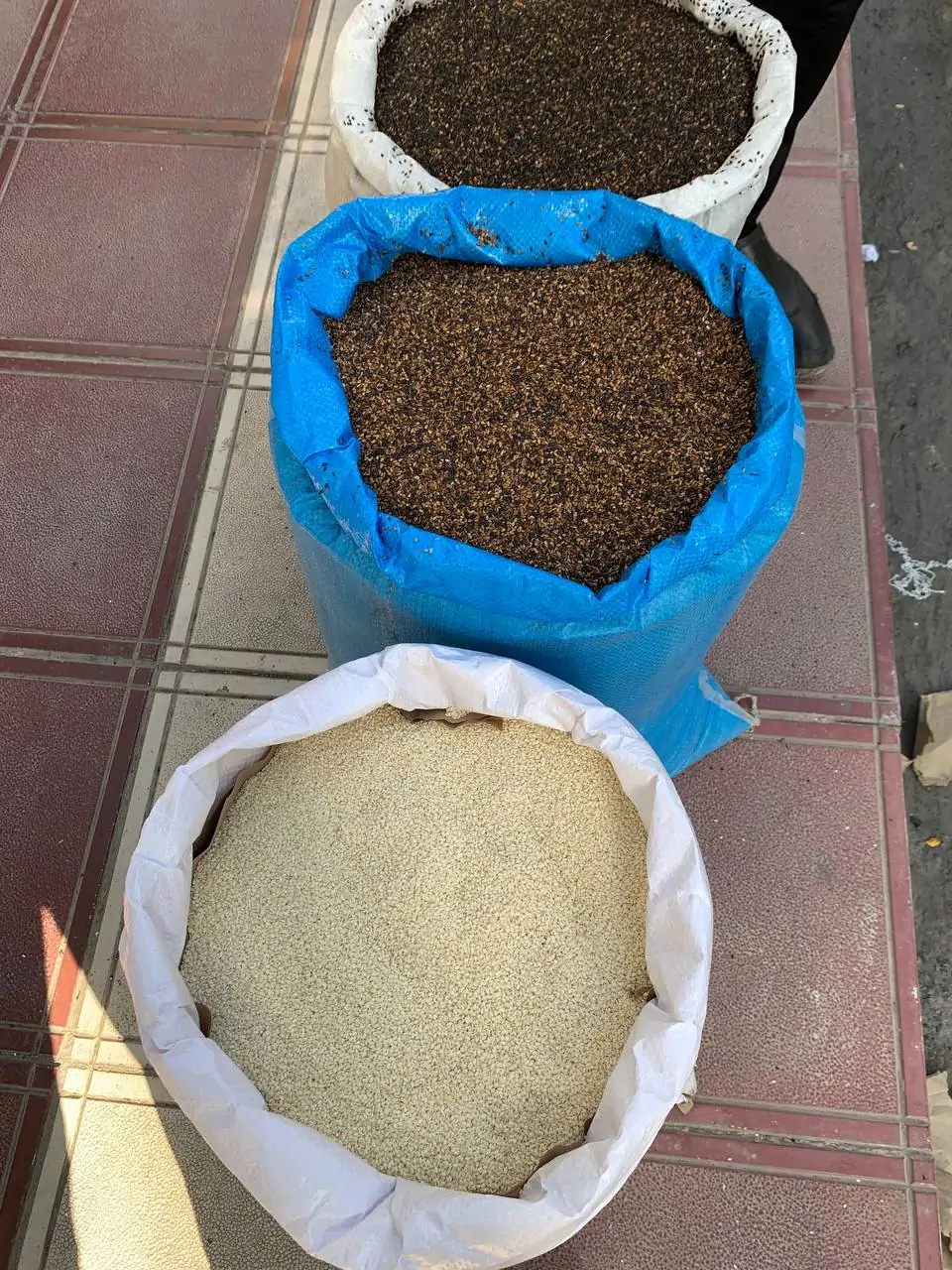 کنجد سفید هندی