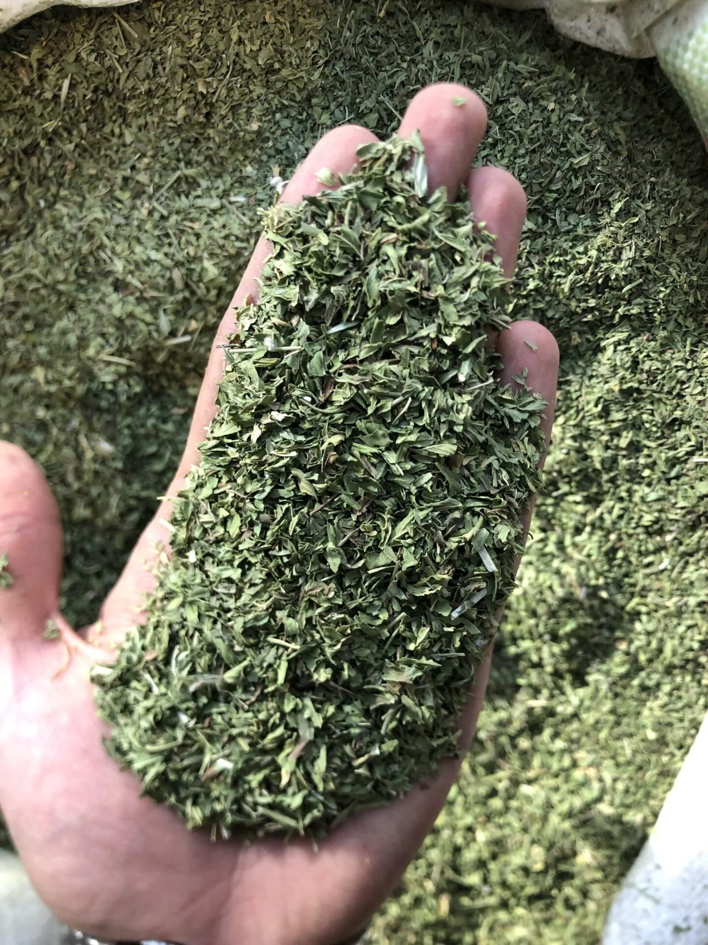 نعنا بلغور تمیز - تصویر 3