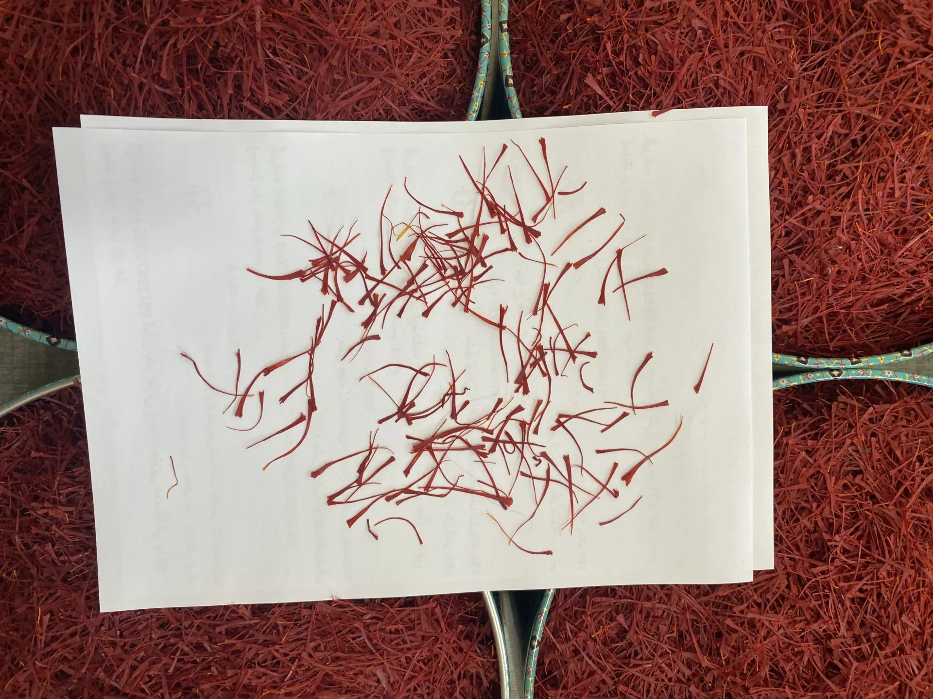 زعفران نگین طبیعی خشک مشهد بازرگانی براتی