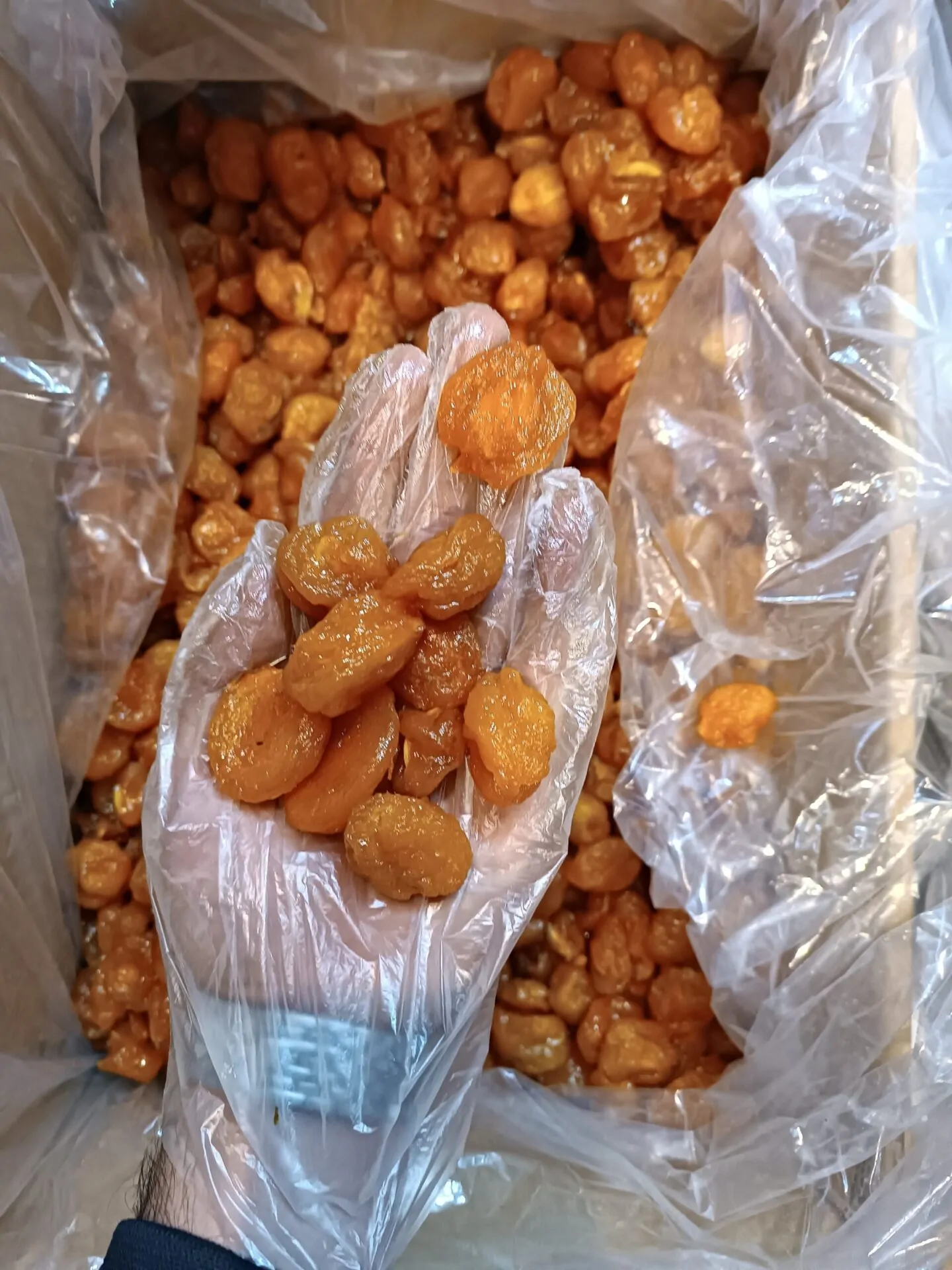 آلو شوقانی کد 1006 - تصویر 3