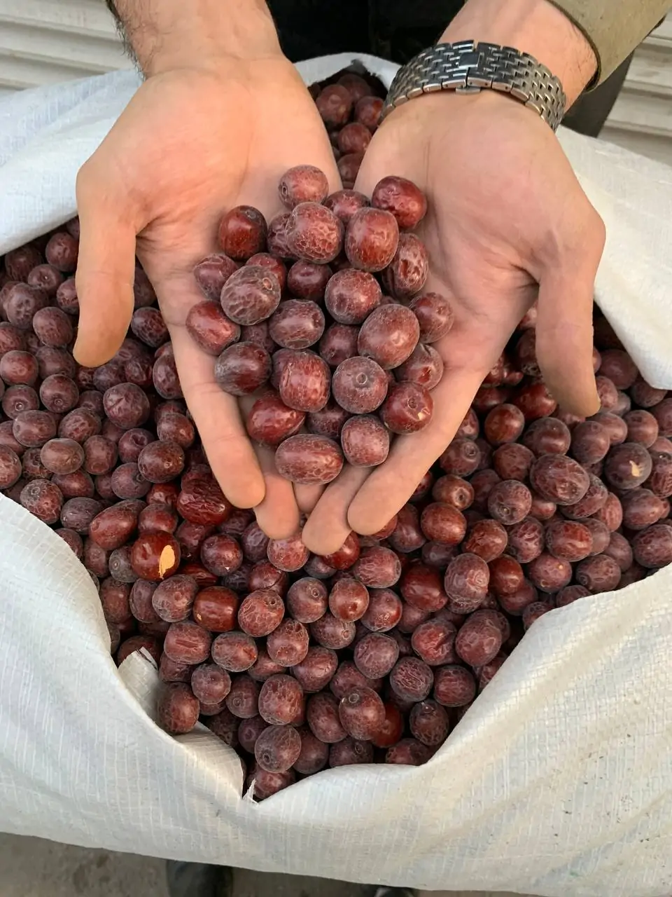 عناب دست چین AAA