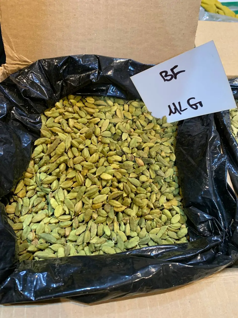 هل MLG گواتمالایی سایز متوسط - تصویر 3