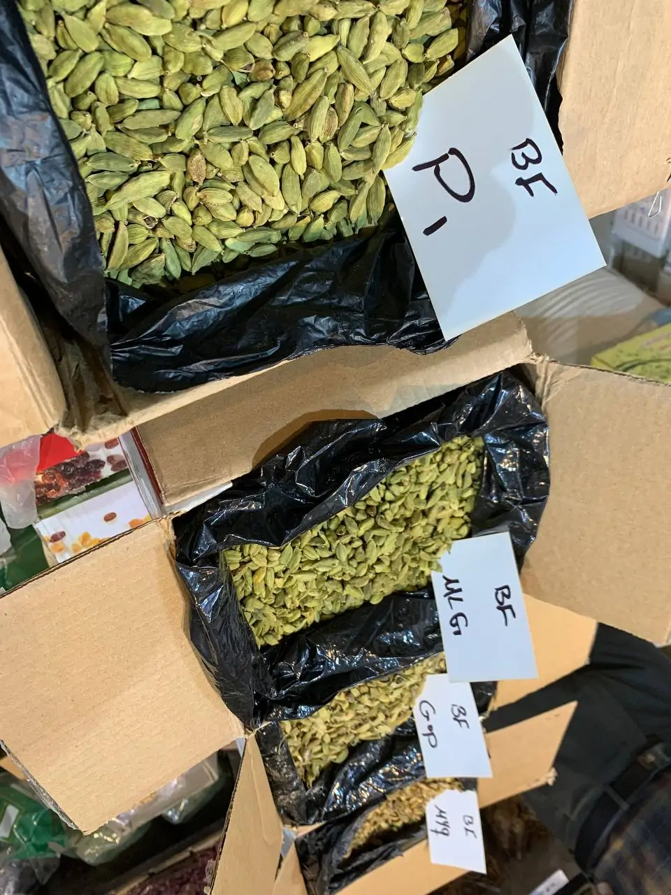 هل پی یک یا p1 گواتمالایی سایز درشت   ارسال رایگان - تصویر 4