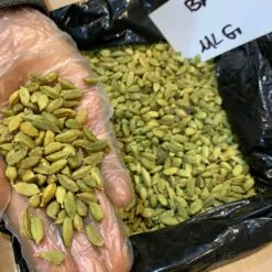 Alternative view of هل MLG گواتمالایی سایز متوسط