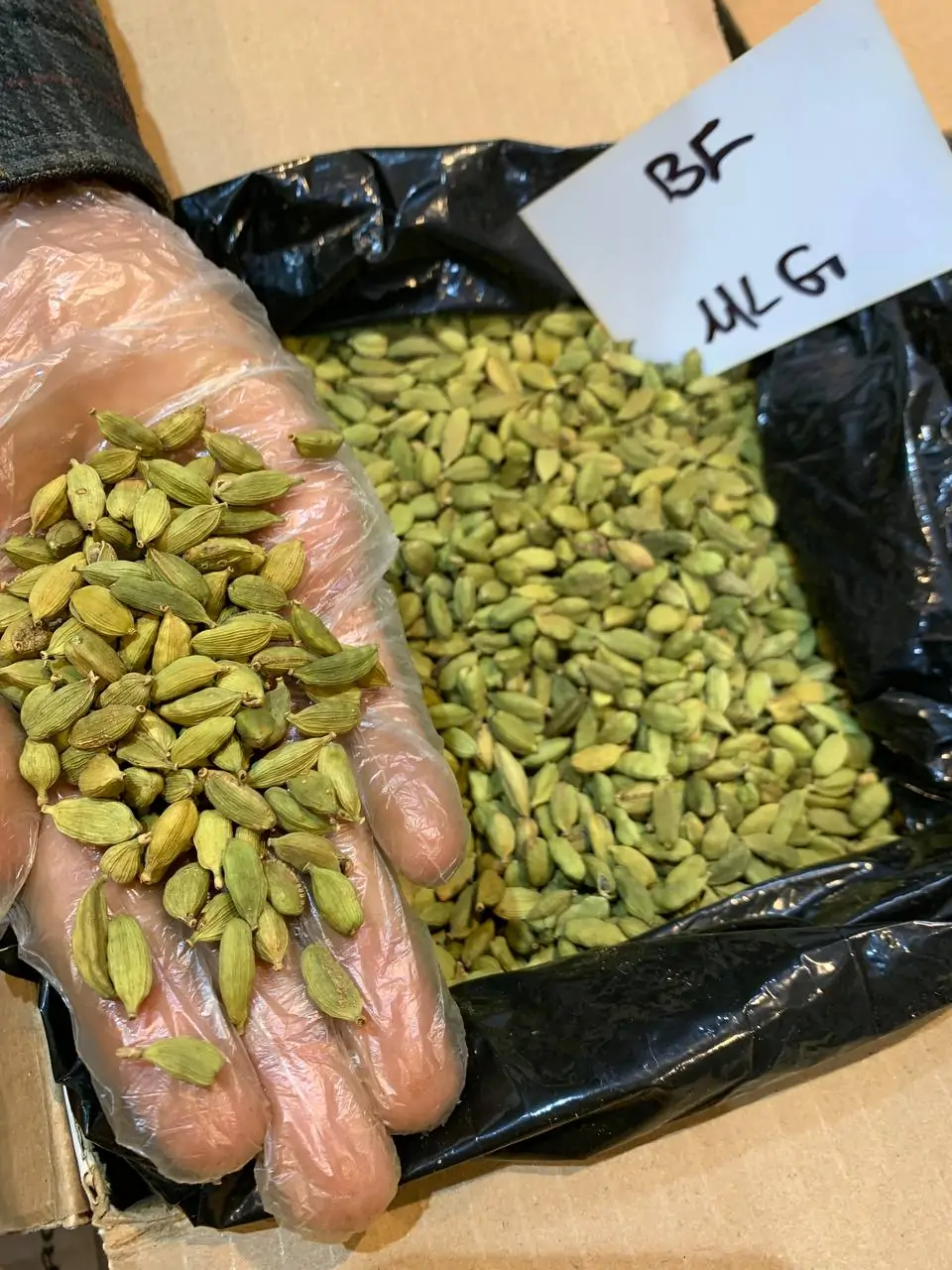 هل MLG گواتمالایی سایز متوسط - تصویر 2