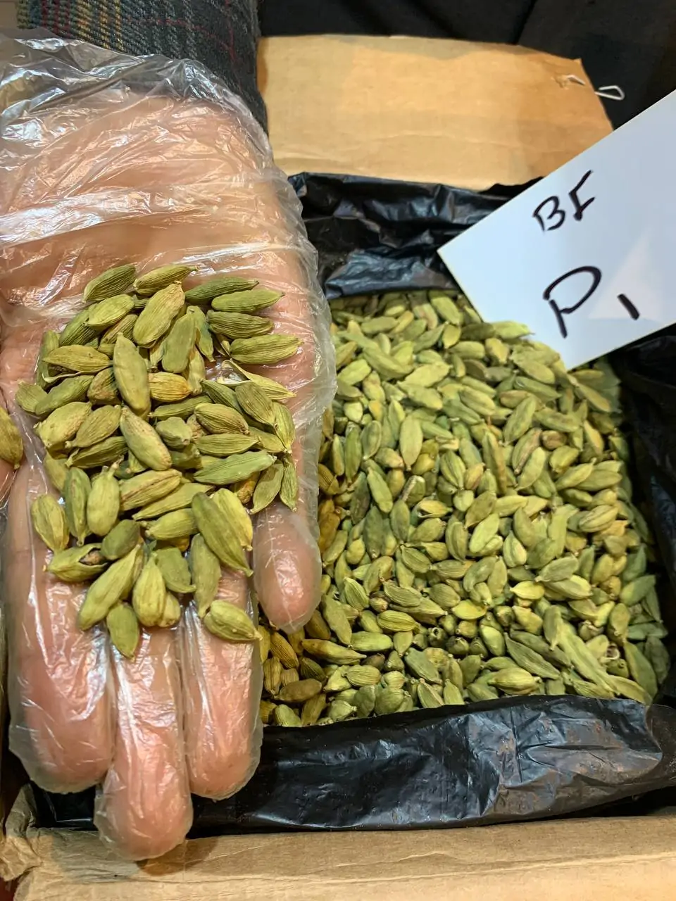 هل پی یک یا p1 گواتمالایی سایز درشت   ارسال رایگان - تصویر 2