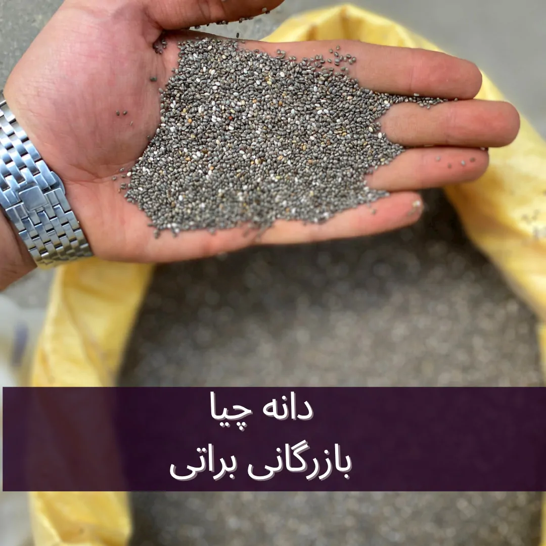 دانه چیا