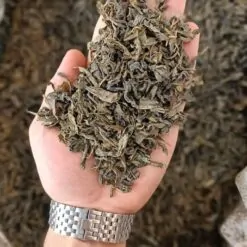 چای سبز ممتاز ایرانی2