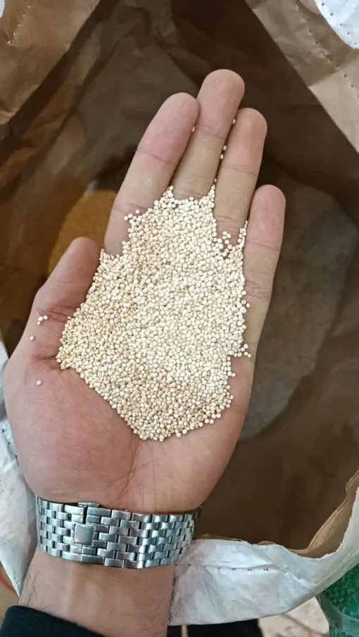کینوا سفید خارجی 2 دانه کینوا (خاویار گیاهی)