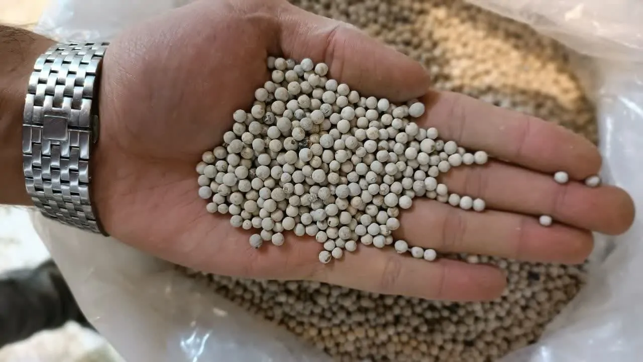 فلفل سفید ناساب