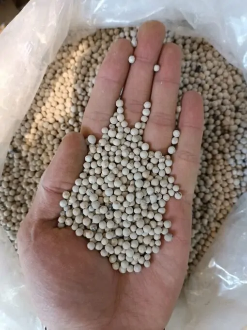 فلفل سفید ناساب 2 فلفل سفید ناساب