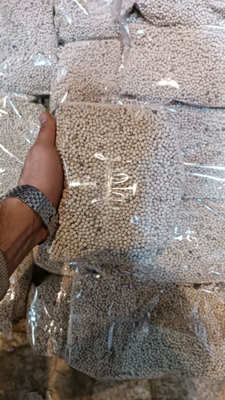 فلفل سفید ناساب