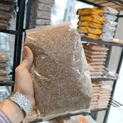 تخم شوید هندی 2