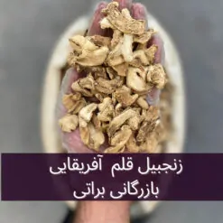 زنجبیل قلم آفریقایی