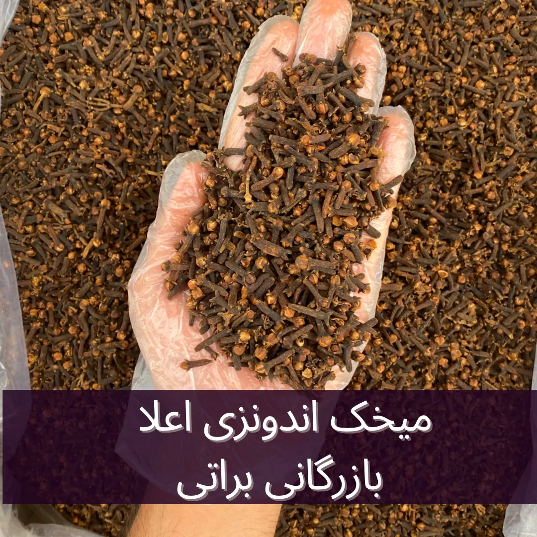 میخک اعلا - تصویر 4