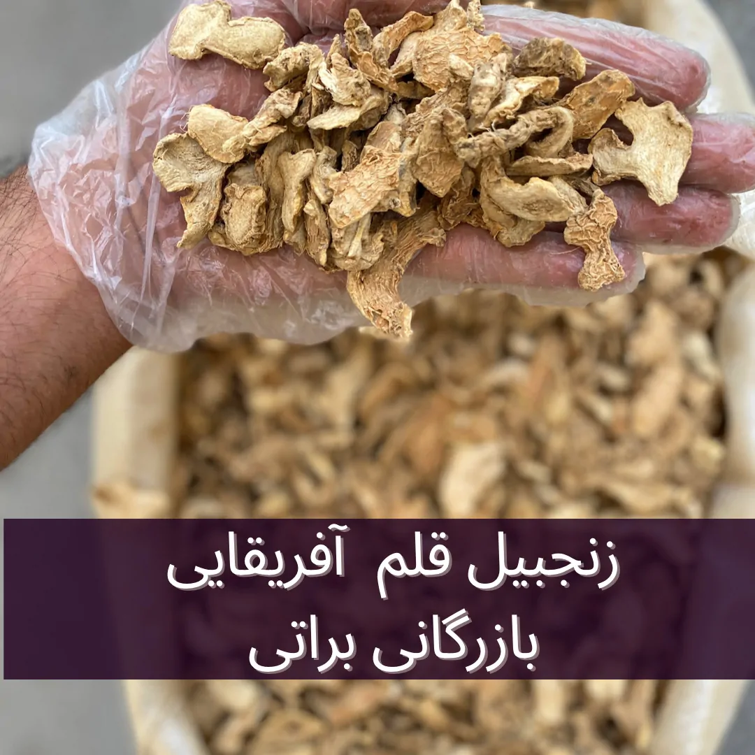 زنجبیل قلم آفریقایی 2