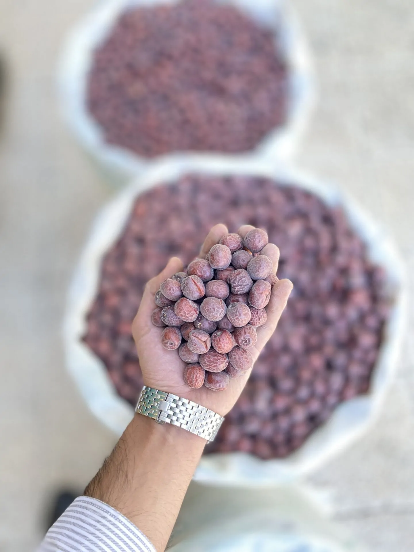 عناب متوسط 2