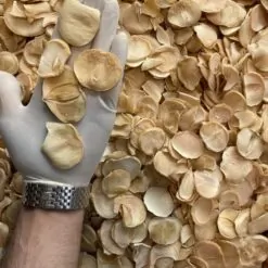 موسیر پلاکی