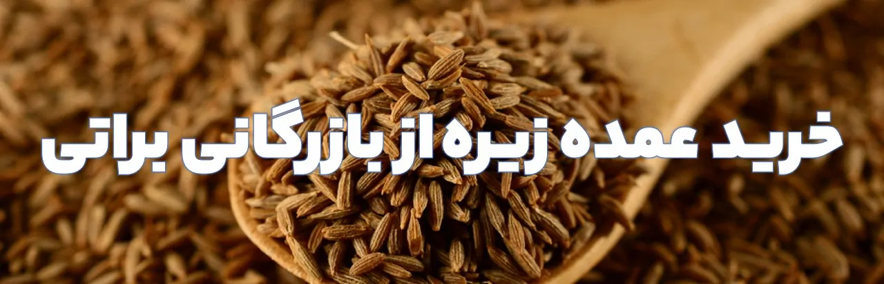 خرید عمده زیره