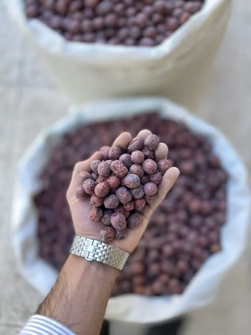 عناب ریز B کد 388 2 عناب درجه3 - بازرگانی براتی