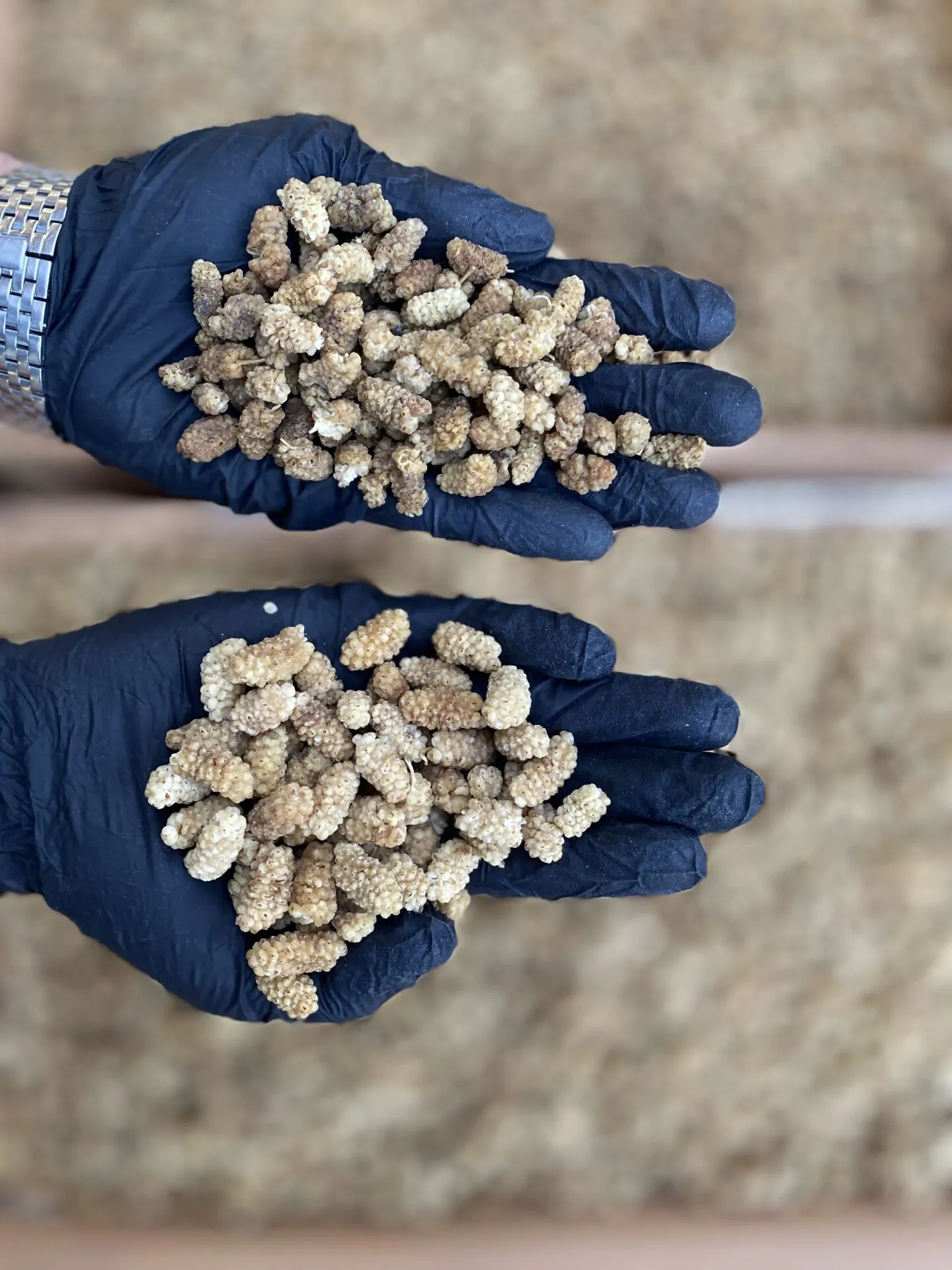 توت خشک رسمی B شیرین - تصویر 3