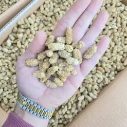 Alternative view of توت خشک سوپر صادراتی 3A