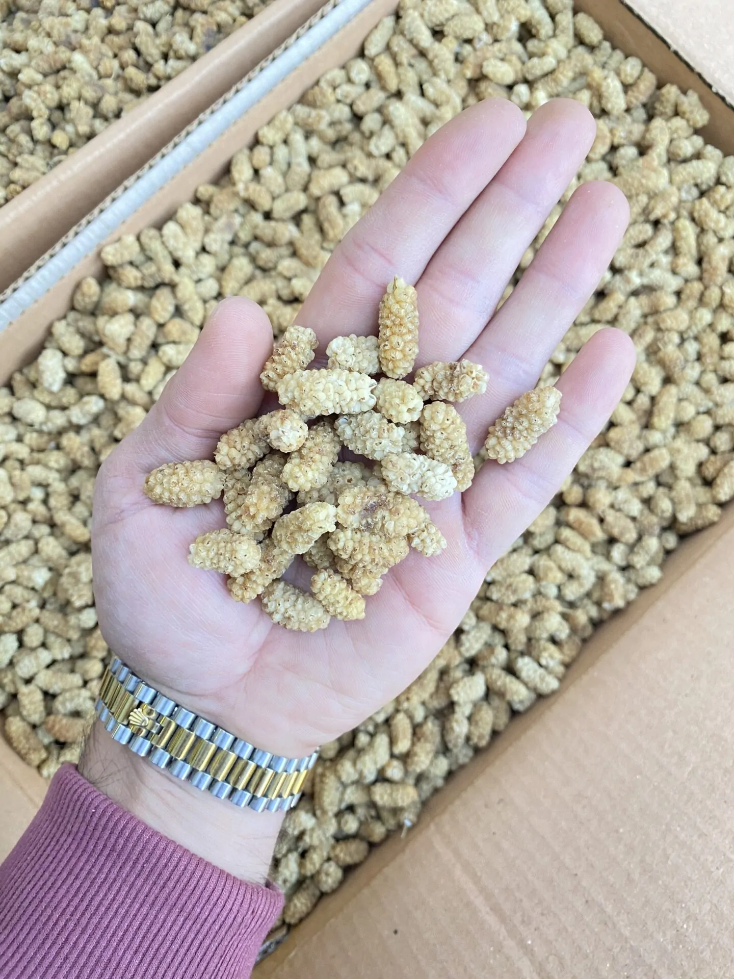 توت خشک سوپر صادراتی 3A - تصویر 2