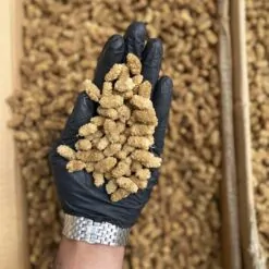 توت خشک سوپر صادراتی 3A