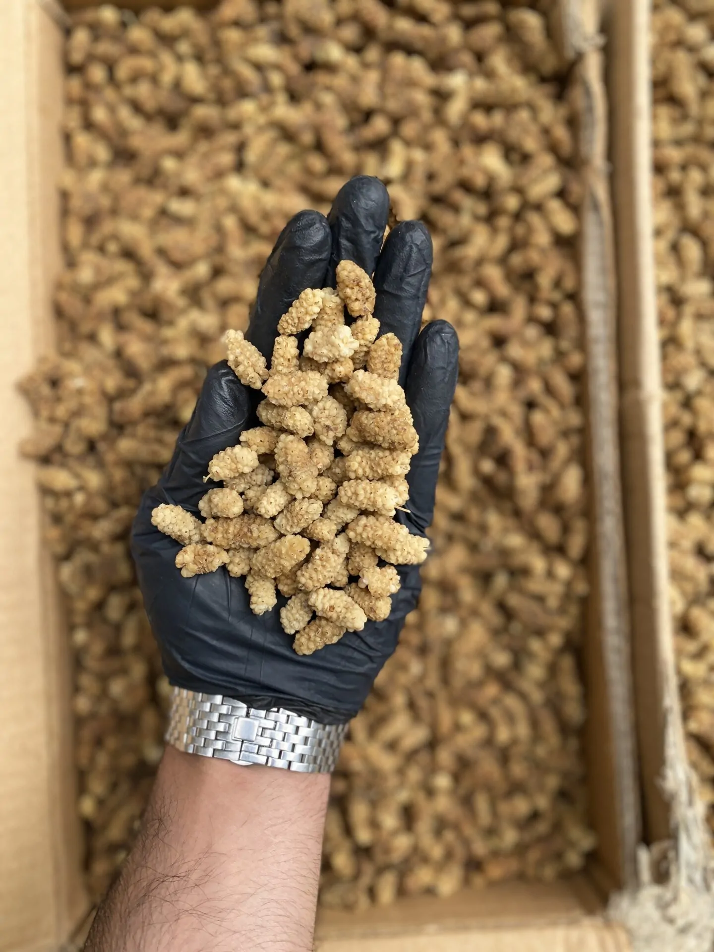 توت خشک سوپر صادراتی 3A