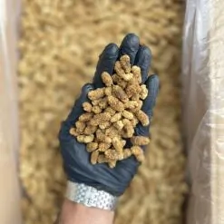 Alternative view of توت خشک رسمی مشهدی 2A شیرین پاستیلی