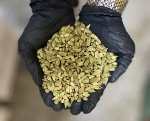 هل ریز آمریکایی p4 3 هل سبز ریز در بازرگانی براتی