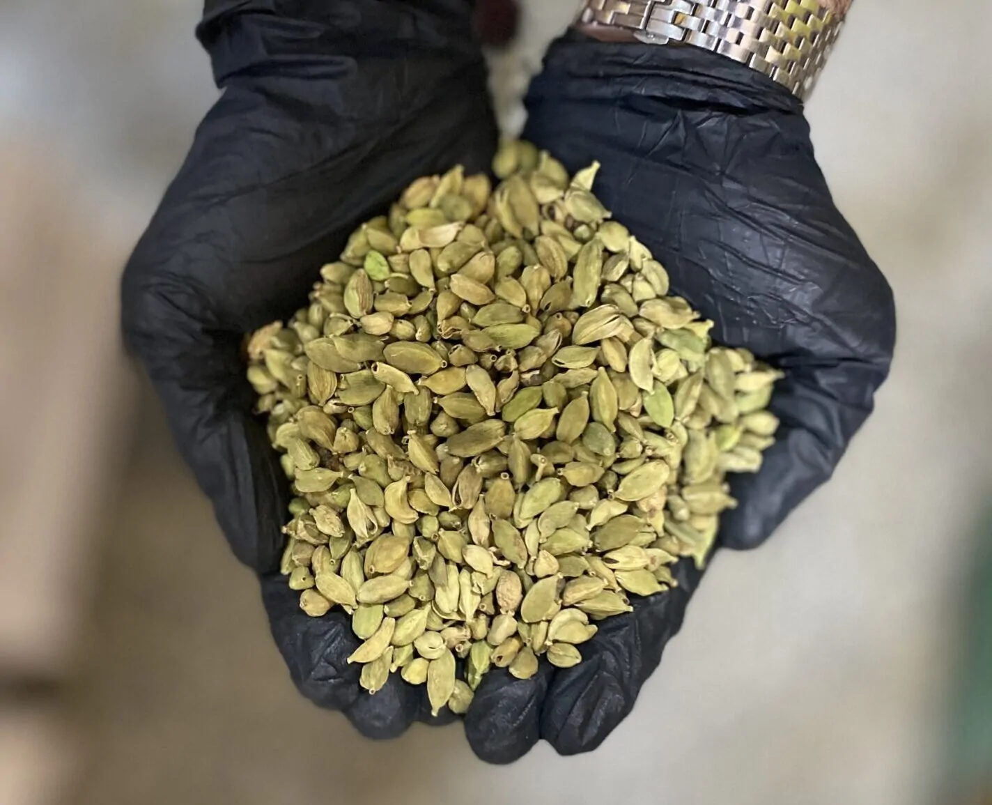 هل هندی سبز ریز در بازرگانی براتی