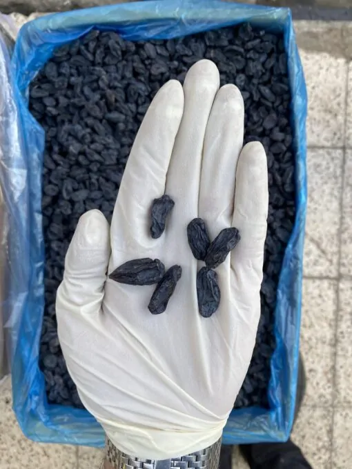 مویز اقتصادی خارجی بدون هسته 3 مویز اقتصادی خارجی بدون هسته - تصویر 3