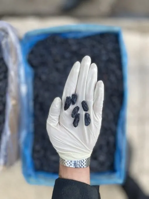 مویز اقتصادی خارجی بدون هسته 2 مویز اقتصادی خارجی بدون هسته - تصویر 2