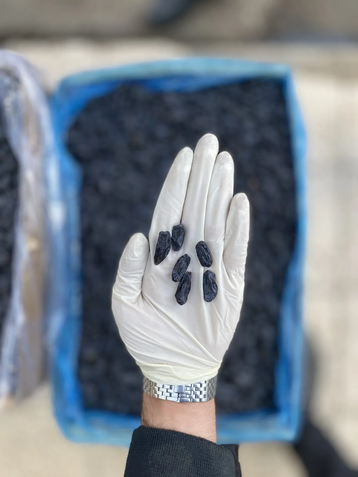 مویز اقتصادی خارجی بدون هسته - تصویر 2