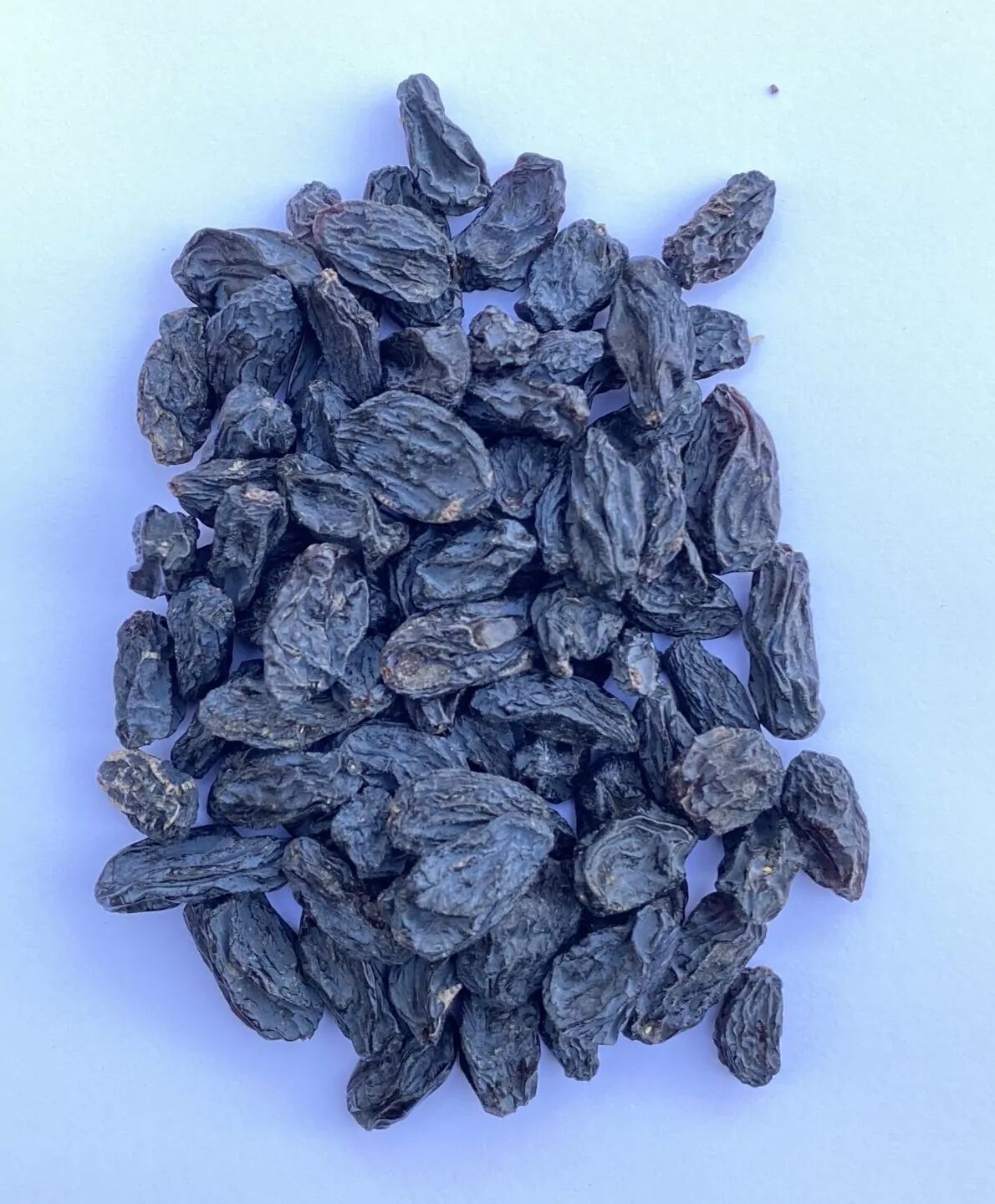 مویز اقتصادی خارجی بدون هسته 1 مویز ازبک در مشهد بازرگانی براتی