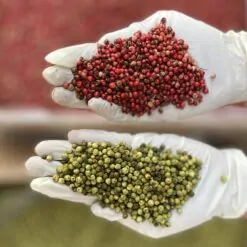 دان فلفل سبز بازرگانی براتی