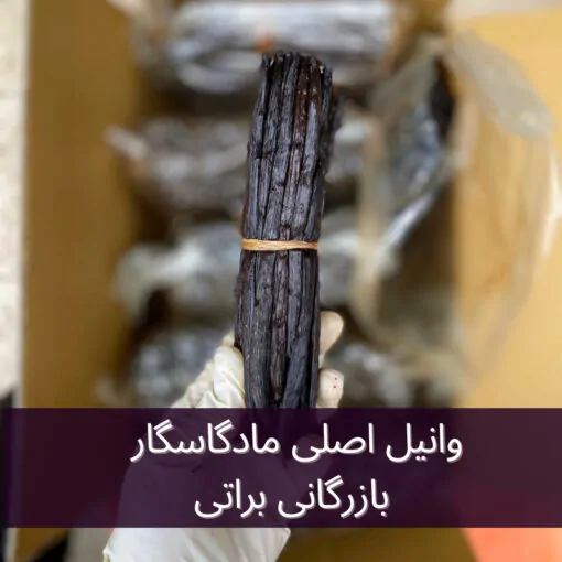 غلاف وانیل ماداگاسگاری اصلی پک 10 عدد لوبیا وانیل 3 غلاف وانیل ماداگاسگاری اصلی در بازرگانی براتی