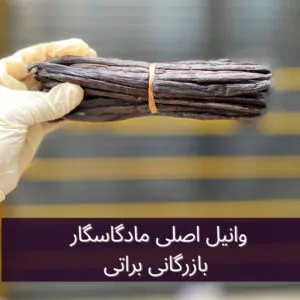 غلاف وانیل ماداگاسگاری اصلی پک 10 عدد لوبیا وانیل 4 غلاف وانیل ماداگاسگاری در بازرگانی براتی