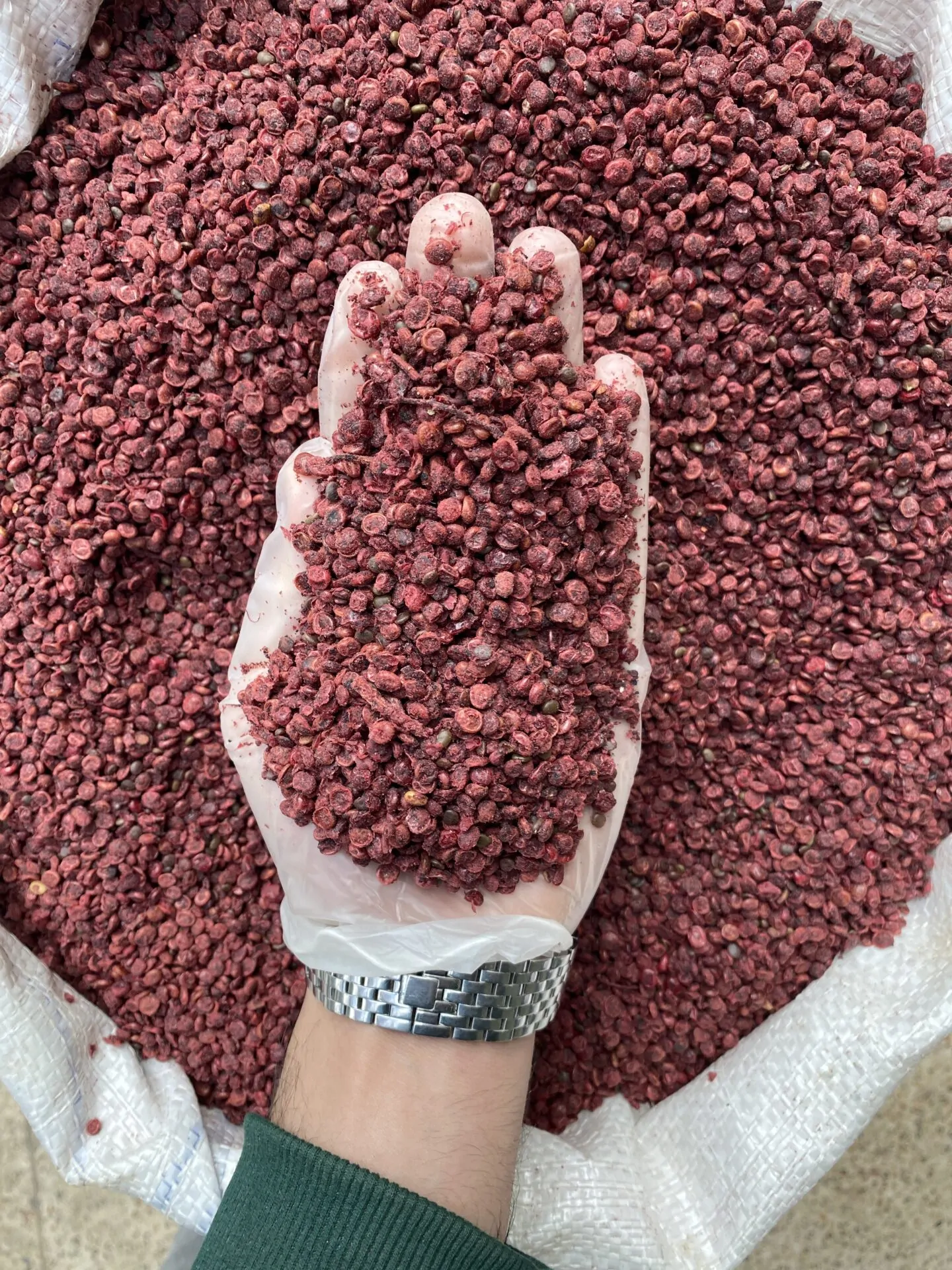 دان سماق قرمز