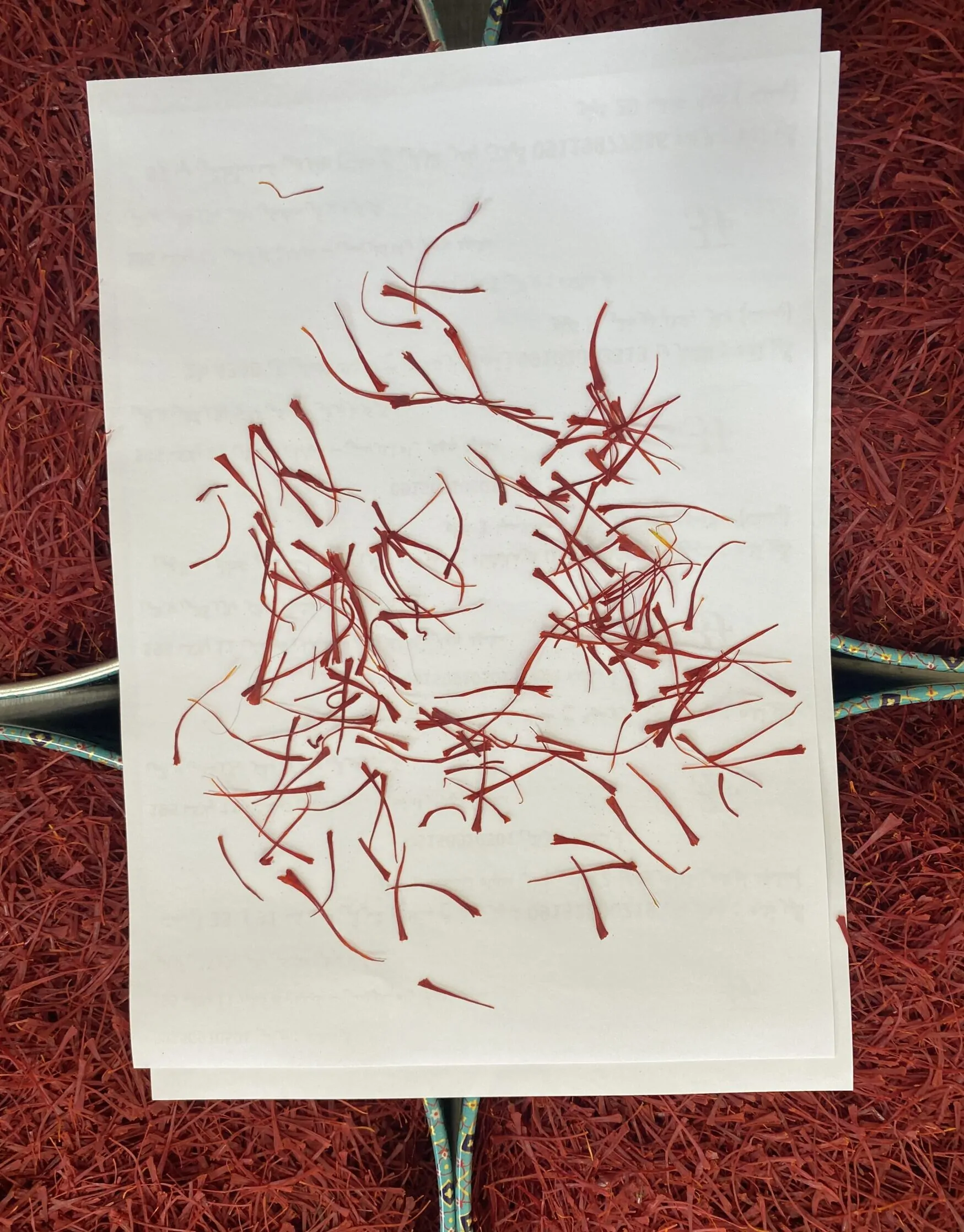 سوپر نگین صادراتی