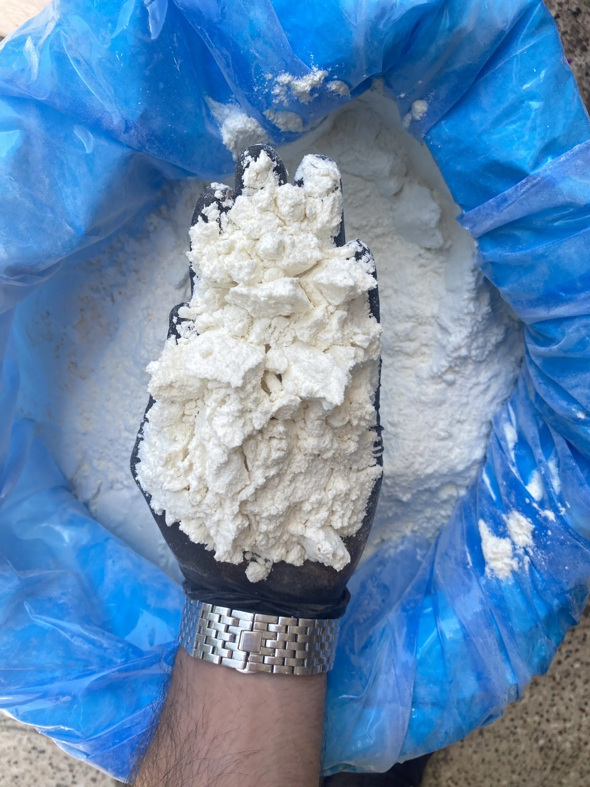 چاشنی قارچ و خامه